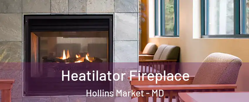 Heatilator Fireplace Hollins Market - MD