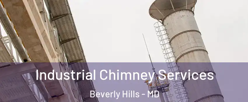 Industrial Chimney Services Beverly Hills - MD