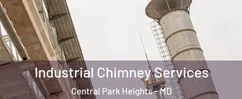 Industrial Chimney Services Central Park Heights - MD