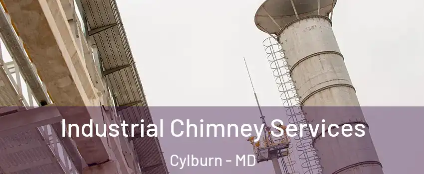 Industrial Chimney Services Cylburn - MD