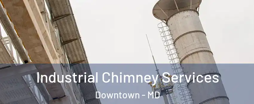 Industrial Chimney Services Downtown - MD