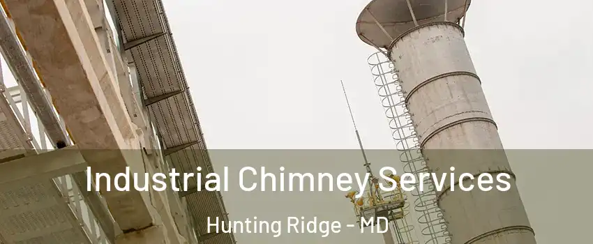 Industrial Chimney Services Hunting Ridge - MD