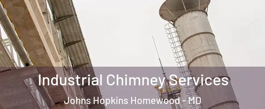 Industrial Chimney Services Johns Hopkins Homewood - MD