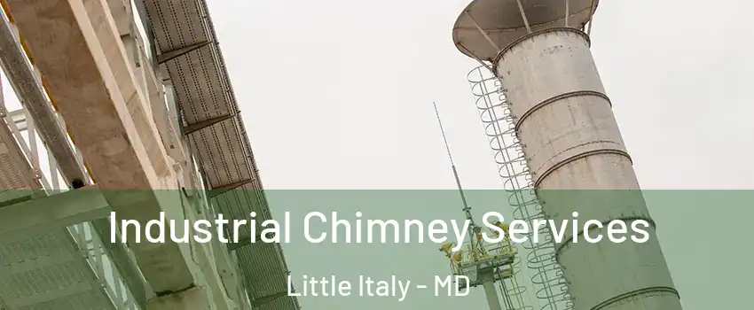 Industrial Chimney Services Little Italy - MD