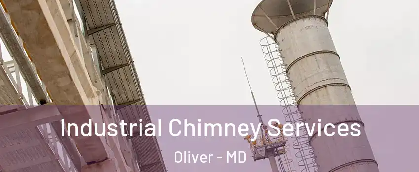 Industrial Chimney Services Oliver - MD