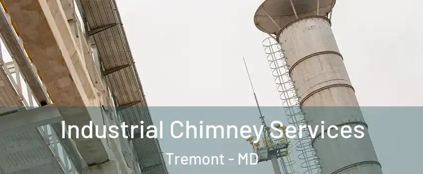 Industrial Chimney Services Tremont - MD