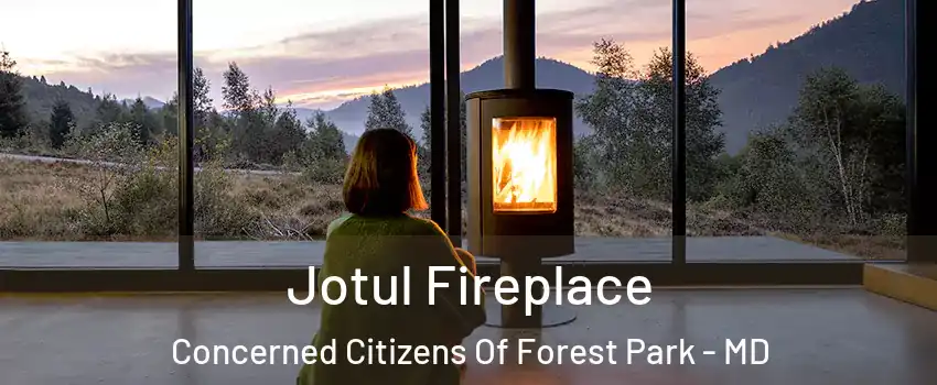 Jotul Fireplace Concerned Citizens Of Forest Park - MD