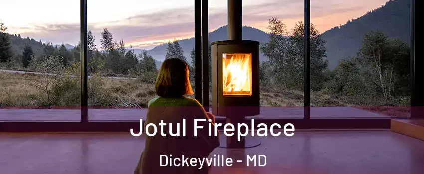 Jotul Fireplace Dickeyville - MD