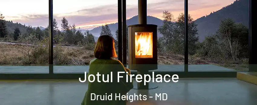 Jotul Fireplace Druid Heights - MD