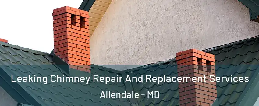 Leaking Chimney Repair And Replacement Services Allendale - MD