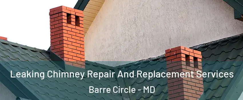 Leaking Chimney Repair And Replacement Services Barre Circle - MD