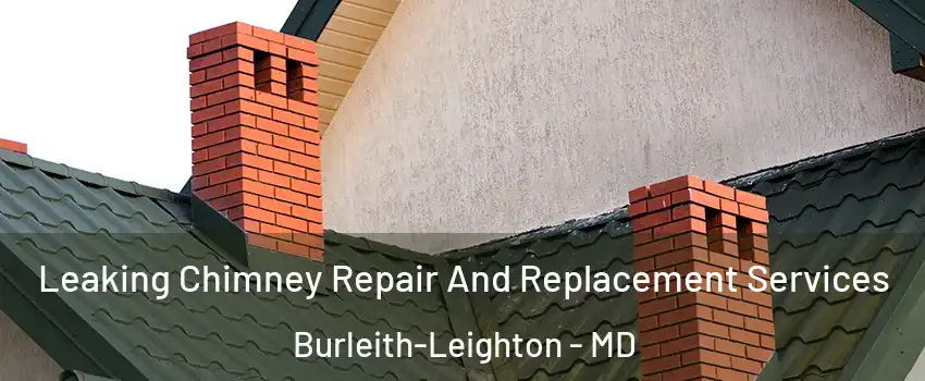 Leaking Chimney Repair And Replacement Services Burleith-Leighton - MD