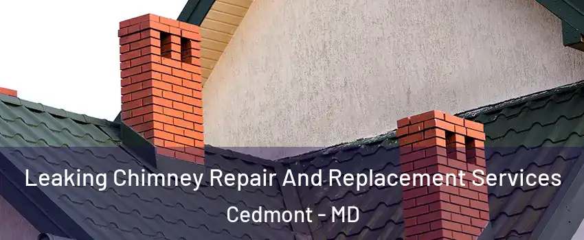 Leaking Chimney Repair And Replacement Services Cedmont - MD