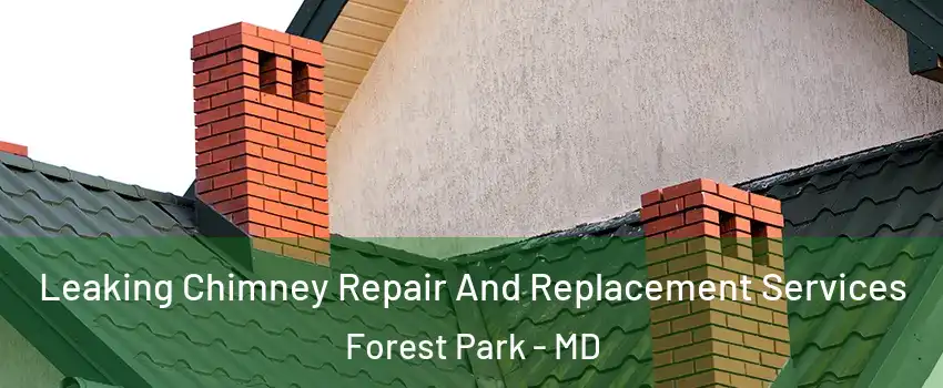 Leaking Chimney Repair And Replacement Services Forest Park - MD