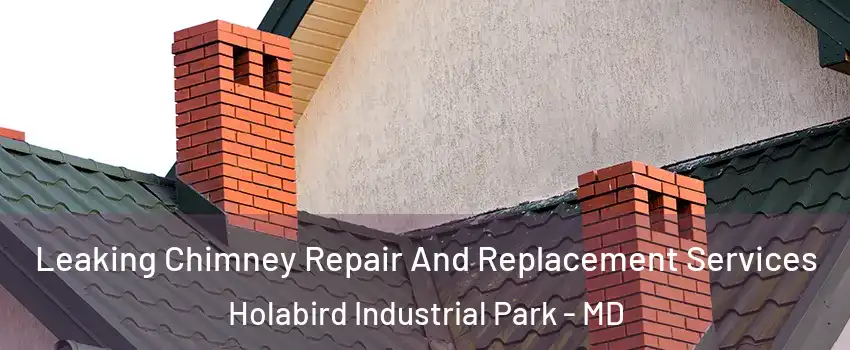 Leaking Chimney Repair And Replacement Services Holabird Industrial Park - MD