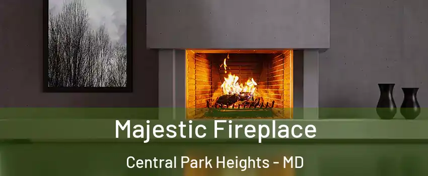 Majestic Fireplace Central Park Heights - MD