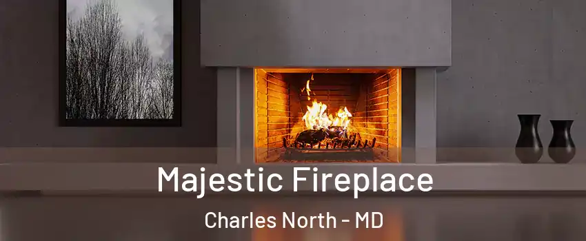 Majestic Fireplace Charles North - MD