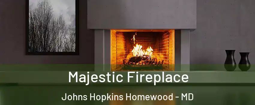 Majestic Fireplace Johns Hopkins Homewood - MD