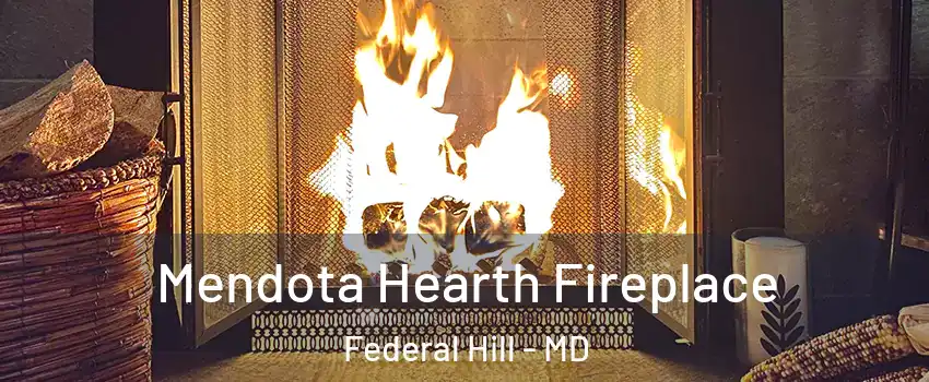 Mendota Hearth Fireplace Federal Hill - MD