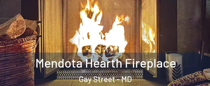 Mendota Hearth Fireplace Gay Street - MD