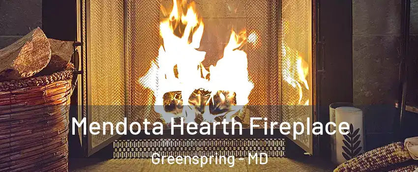 Mendota Hearth Fireplace Greenspring - MD