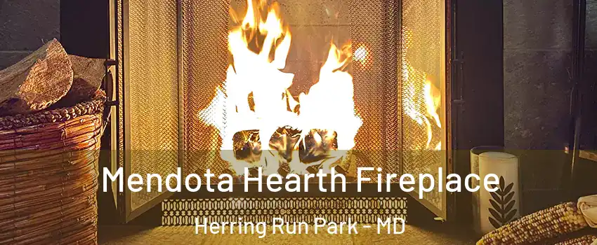 Mendota Hearth Fireplace Herring Run Park - MD