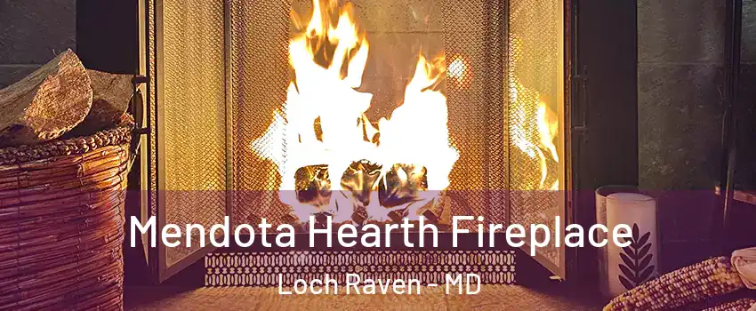 Mendota Hearth Fireplace Loch Raven - MD