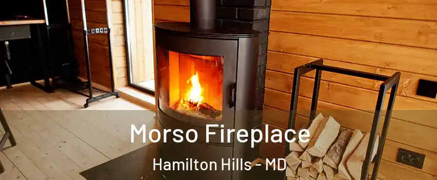 Morso Fireplace Hamilton Hills - MD