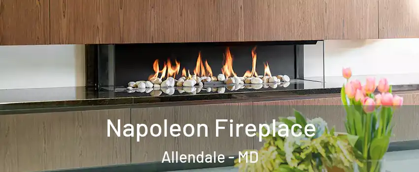 Napoleon Fireplace Allendale - MD