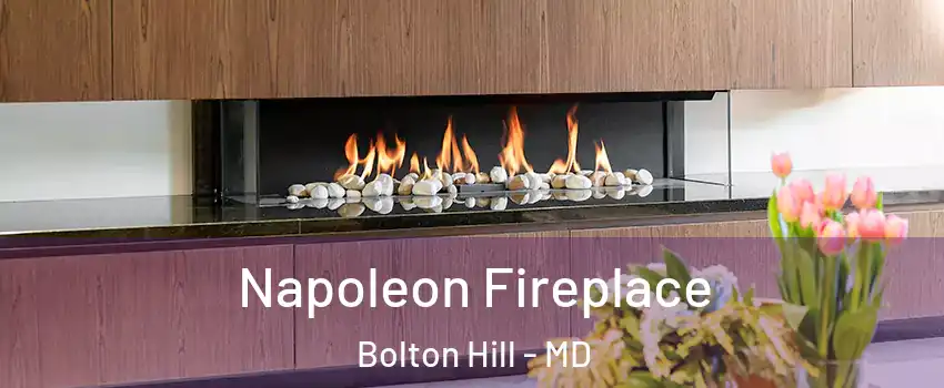 Napoleon Fireplace Bolton Hill - MD