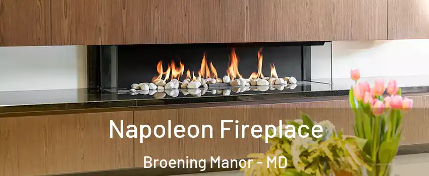 Napoleon Fireplace Broening Manor - MD