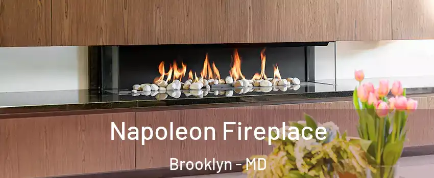 Napoleon Fireplace Brooklyn - MD