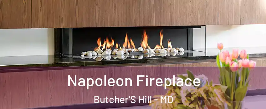 Napoleon Fireplace Butcher'S Hill - MD