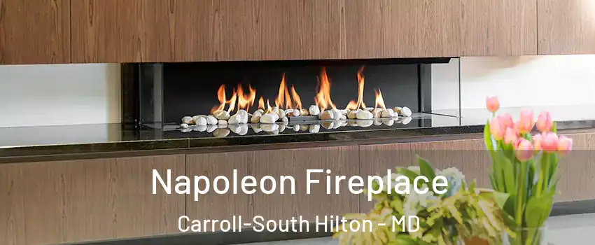 Napoleon Fireplace Carroll-South Hilton - MD