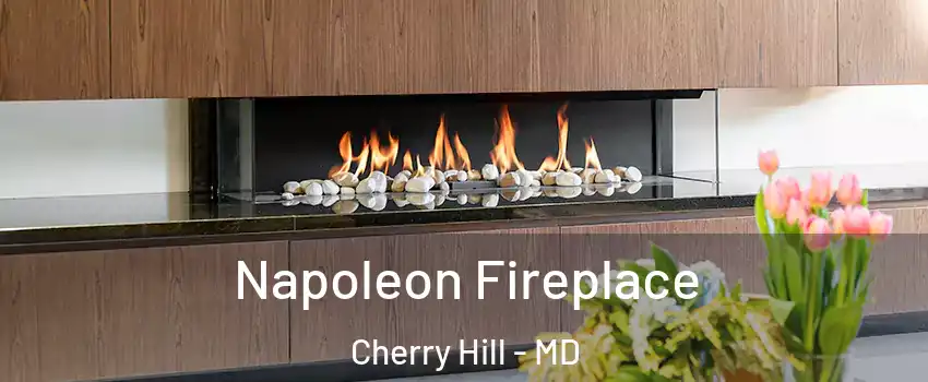 Napoleon Fireplace Cherry Hill - MD