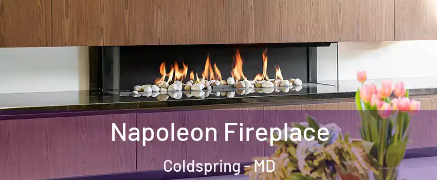 Napoleon Fireplace Coldspring - MD