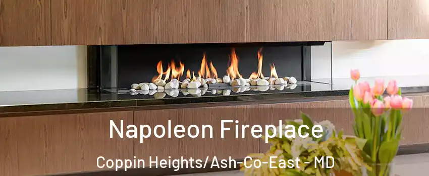 Napoleon Fireplace Coppin Heights/Ash-Co-East - MD