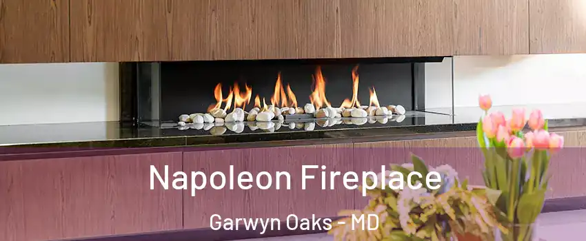 Napoleon Fireplace Garwyn Oaks - MD