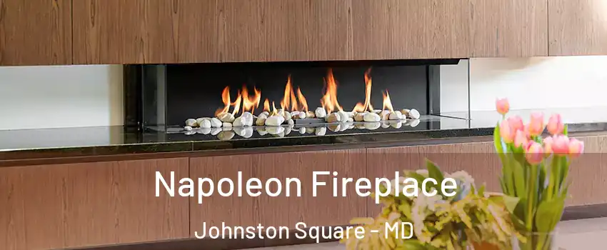 Napoleon Fireplace Johnston Square - MD