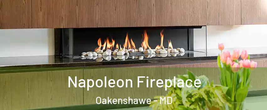 Napoleon Fireplace Oakenshawe - MD