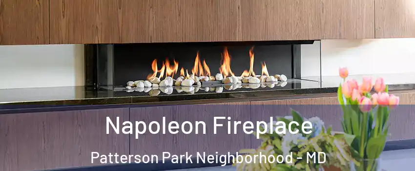 Napoleon Fireplace Patterson Park Neighborhood - MD