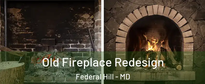 Old Fireplace Redesign Federal Hill - MD