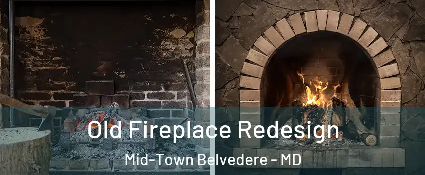 Old Fireplace Redesign Mid-Town Belvedere - MD