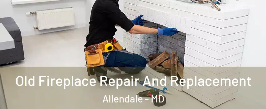 Old Fireplace Repair And Replacement Allendale - MD