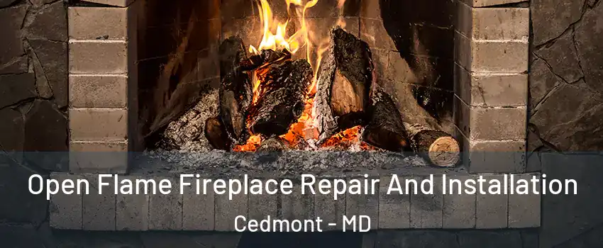 Open Flame Fireplace Repair And Installation Cedmont - MD