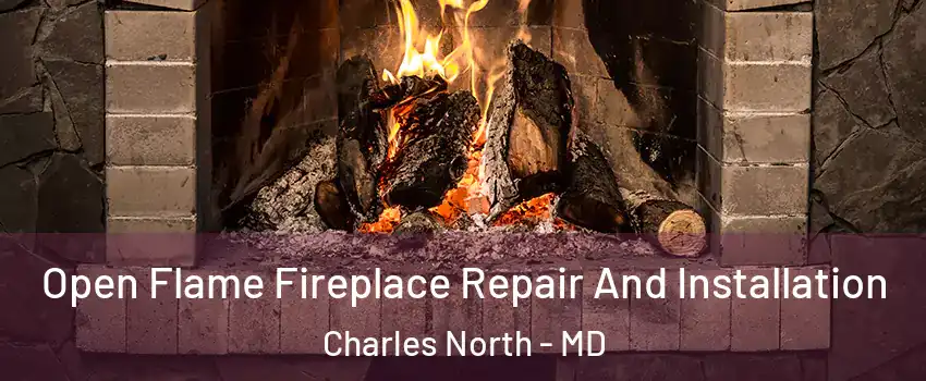 Open Flame Fireplace Repair And Installation Charles North - MD