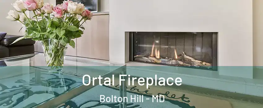 Ortal Fireplace Bolton Hill - MD