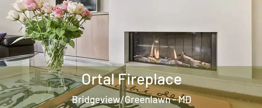 Ortal Fireplace Bridgeview/Greenlawn - MD