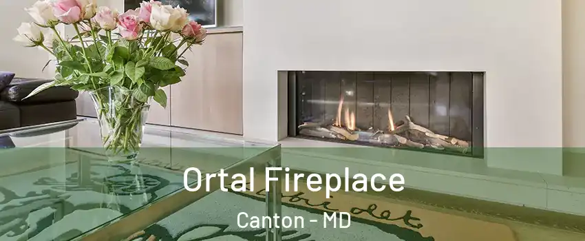 Ortal Fireplace Canton - MD