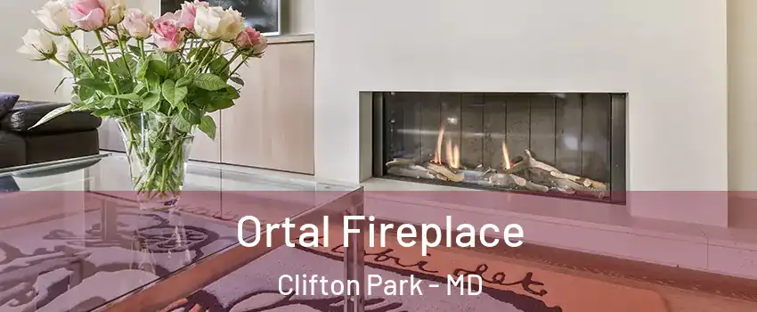 Ortal Fireplace Clifton Park - MD